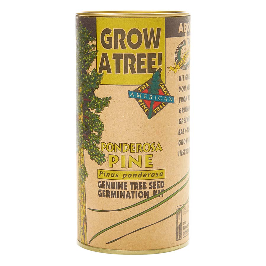 Ponderosa Pine | Seed Grow Kit