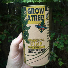 Load image into Gallery viewer, Ponderosa Pine | Seed Grow Kit
